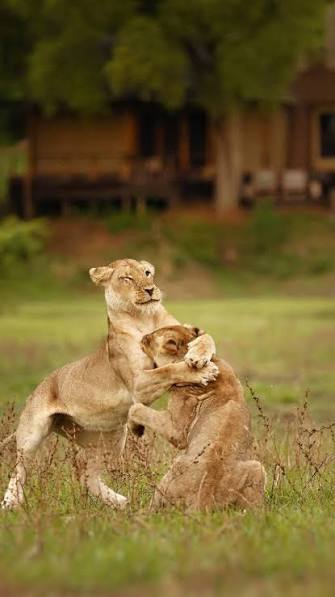 images-49